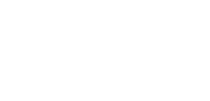 Logo Daniel Neulinger Physiotherapeut und Osteopath in Ausbildung